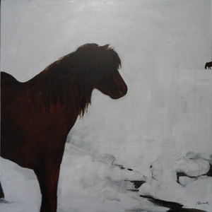 Hestur, Icelandic Horse
