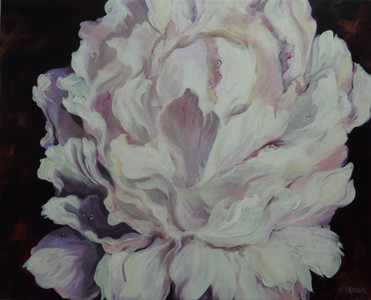 Shell Pink Peony