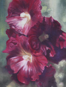 Red Hollyhocks