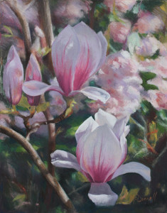 Magnolia and Rhodos