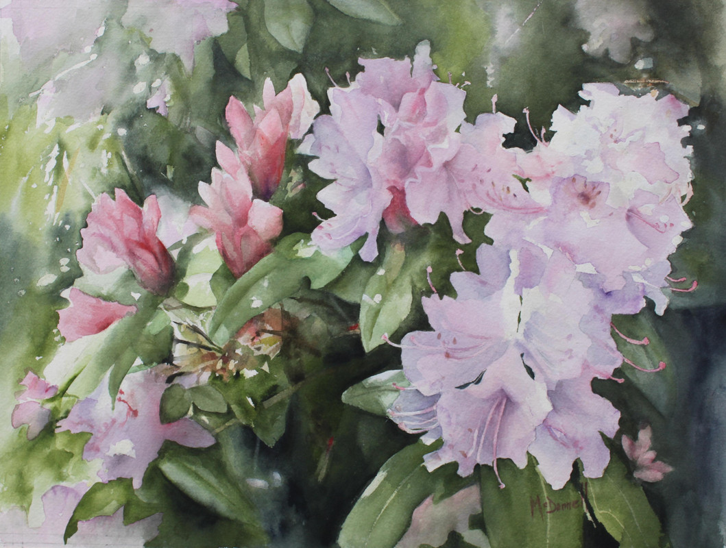 Pink Rhodos