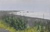 View #1
