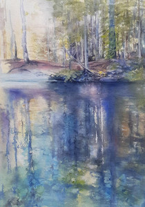 Pond at Qualicum Falls