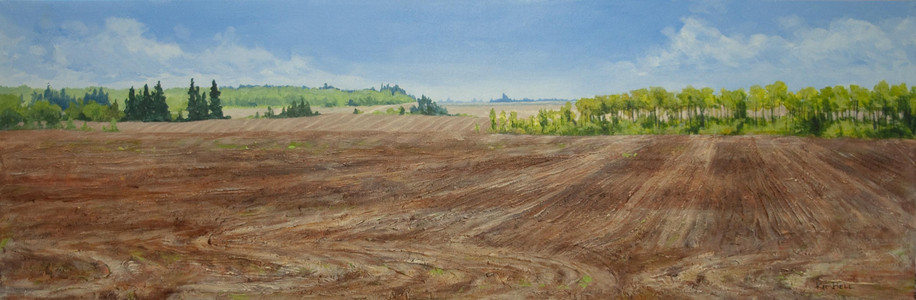 Prairie Plaid