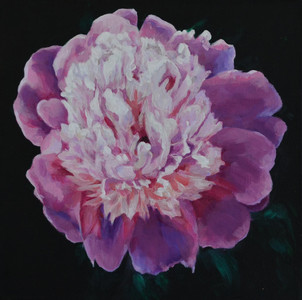 Sun on Peony 2