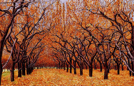 Oliver orchard