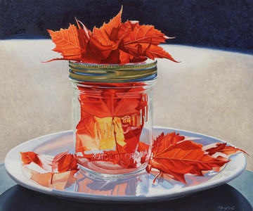 canadian Maple preserved