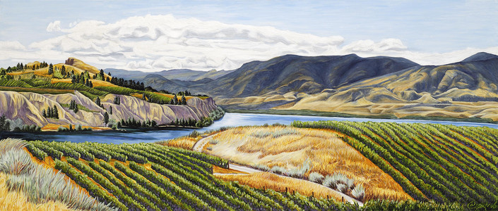 south okanagan vines