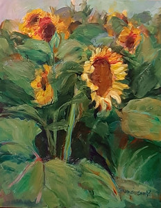 Sunflowers for Ukraine