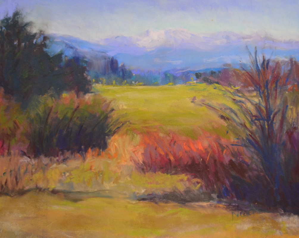 Comox Valley Field