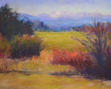 Comox Valley Field
