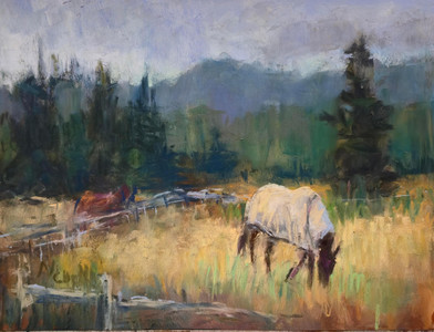 North Island Stables