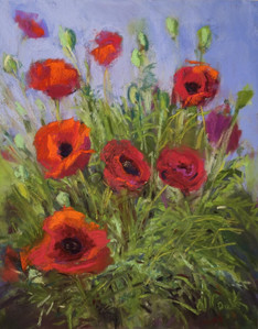 Red Poppies Mean Spring