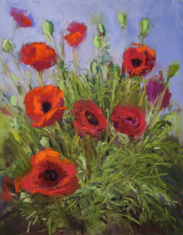 Red Poppies Mean Spring