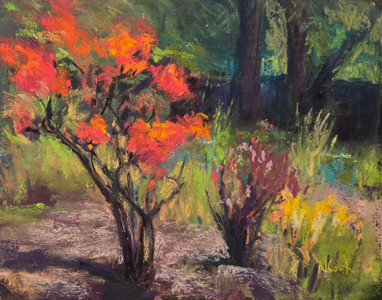Orange Azalea at the Filberg