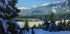 View #1