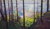 View #1