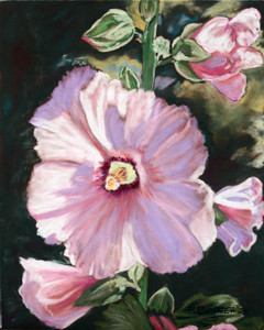 Pink Hollyhock