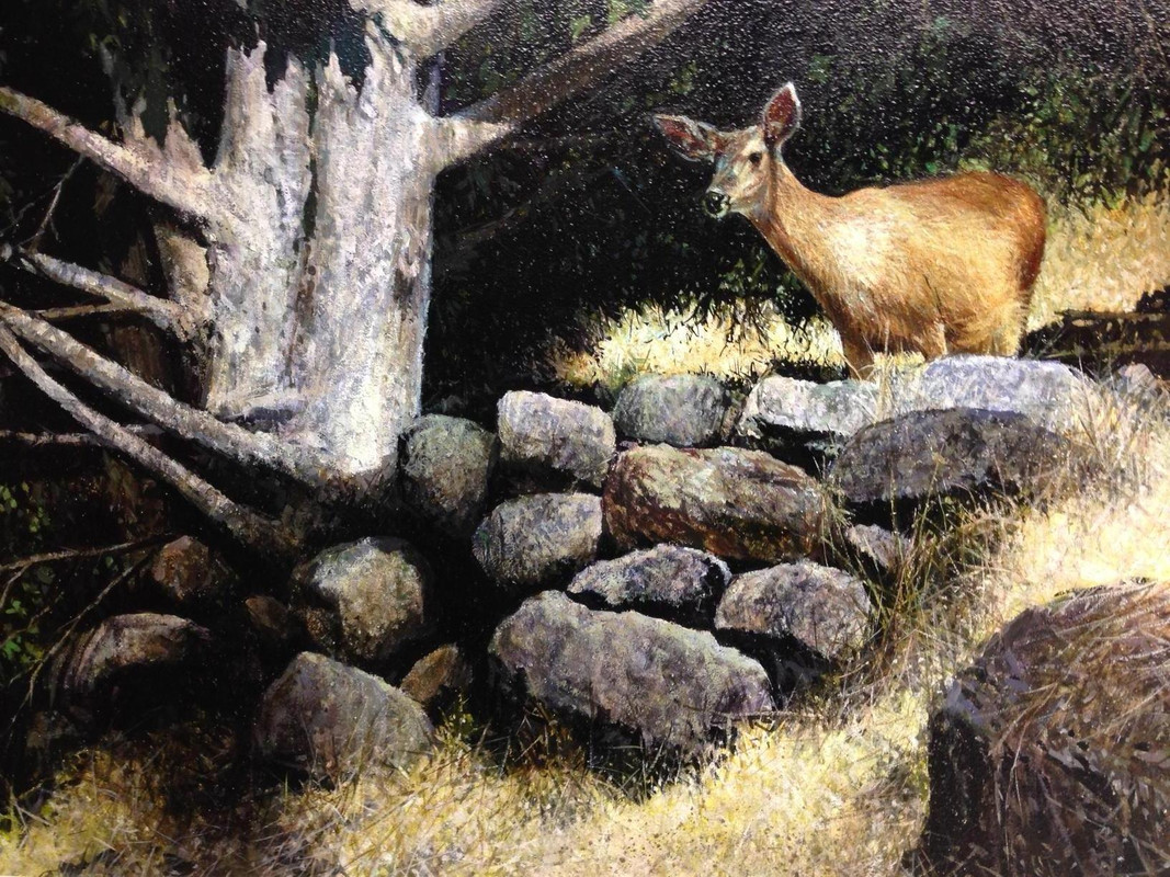The Lookout