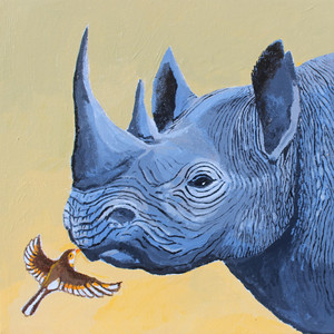 Black Rhinoceros
