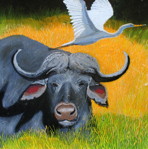 Buffalo and Egret