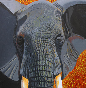 Elephant close up.