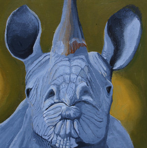 Rhinoceros, face-on.