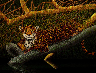 Jaguar