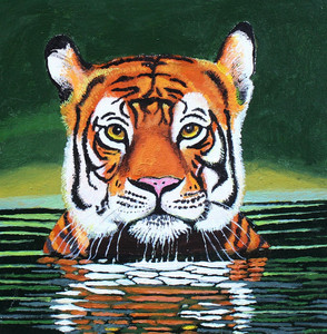 Tiger Cooling Off