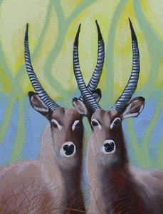 Waterbuck