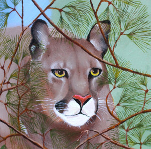 Cougar in a Pine Tree