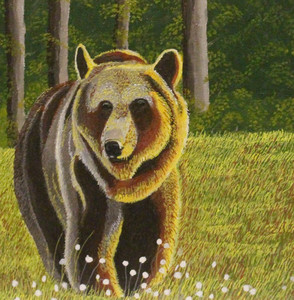 Grizzly in the Meadow