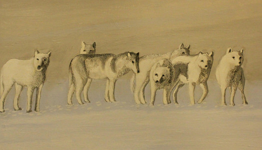 Arctic Wolf Pack