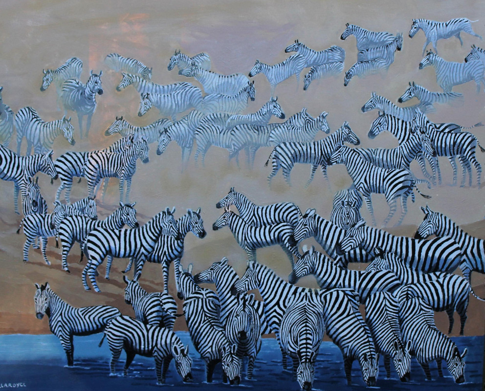 Zebra in the Dust