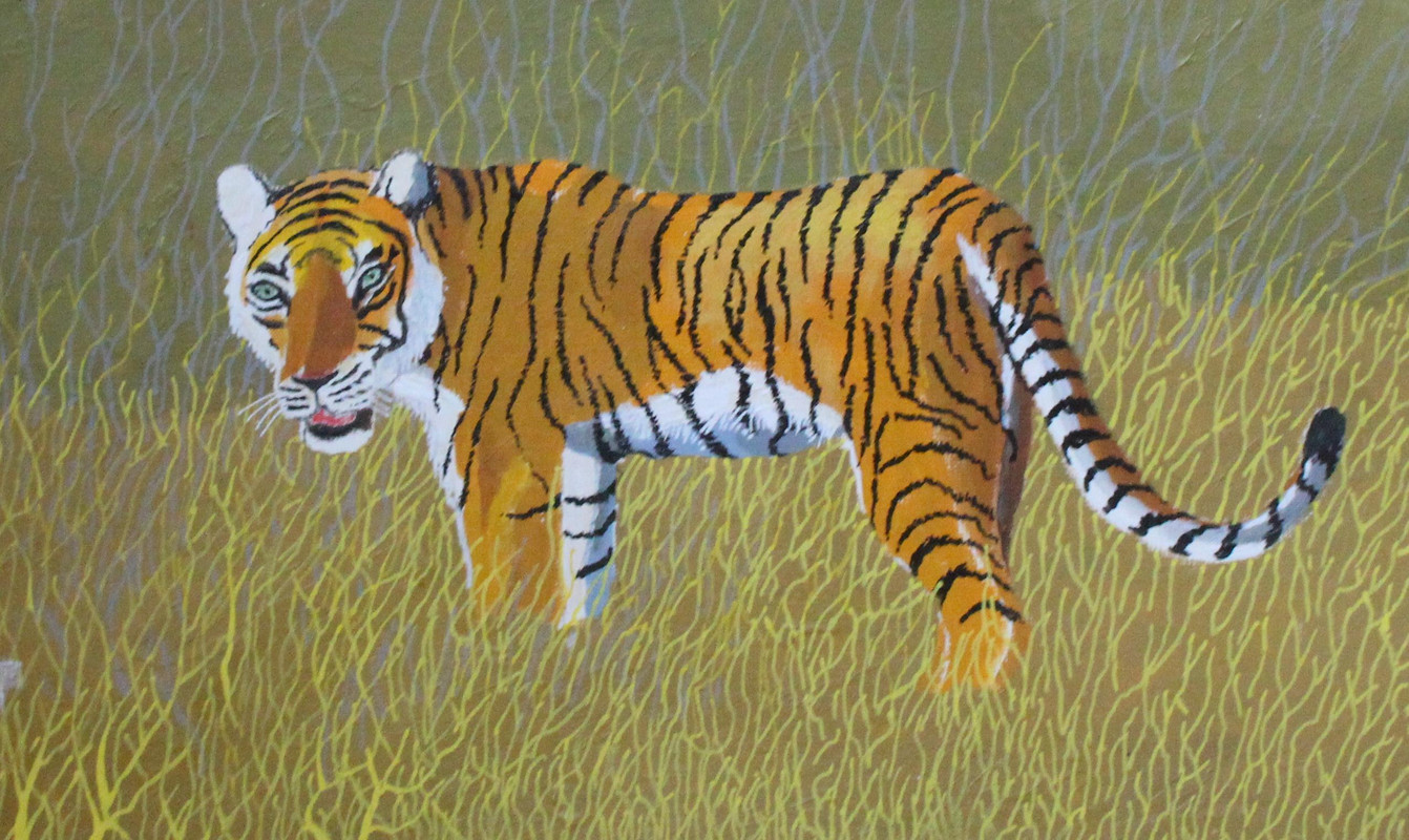 Bengal Tiger