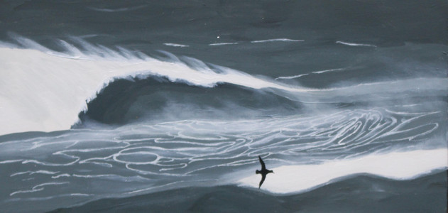 Surf Bird