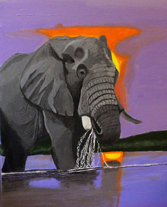 Elephant Drinking