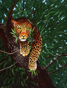 Leopard in his Tree