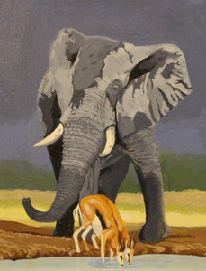Elephant and Springbok