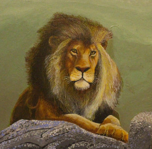 Lion on a Rock