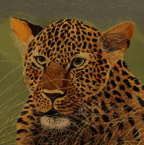 Leopard in the grass