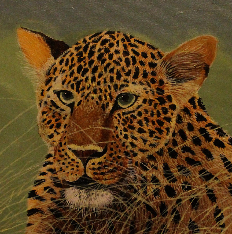 Leopard in the grass