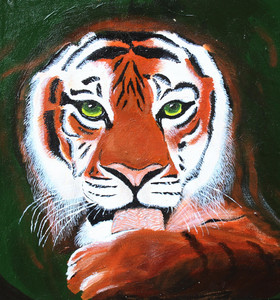 Tiger, Licking His Paw