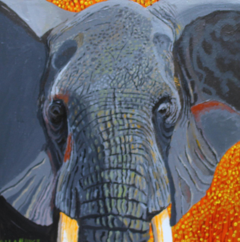 Elephant, Close by