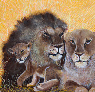 Lion Family