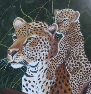 Leopard and her Cub