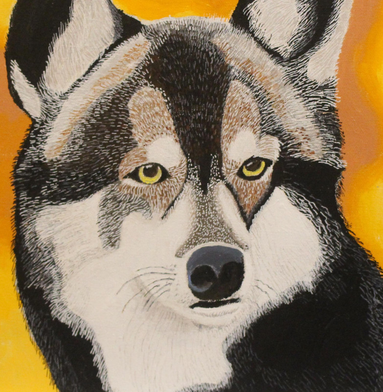 Wolf or Dog?