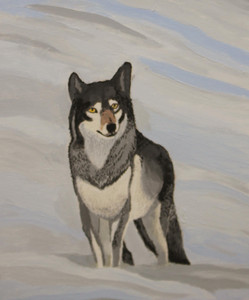 Wolf in the Snow