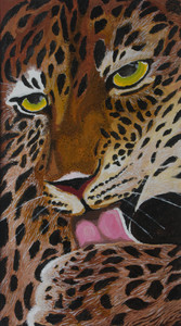 Leopardess licking her paw.