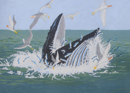 Humpback Feeding